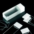 Microscope Slides & Cover Slips