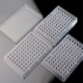 Microtitre Plates