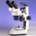 Stereo Microscopes
