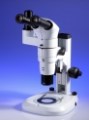 Varizoom Stereoscopic Microscopes